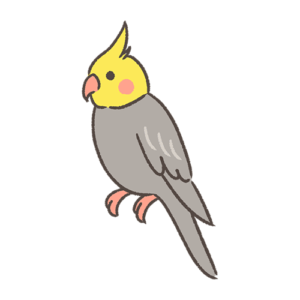 オカメインコ<br />
<b>Warning</b>:  Undefined variable $alt in <b>/home/uiui/yurusozai.net/public_html/wp-content/themes/yurusozai/content.php</b> on line <b>5</b><br />
